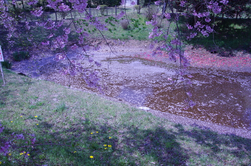 b0125180_8121665.jpg