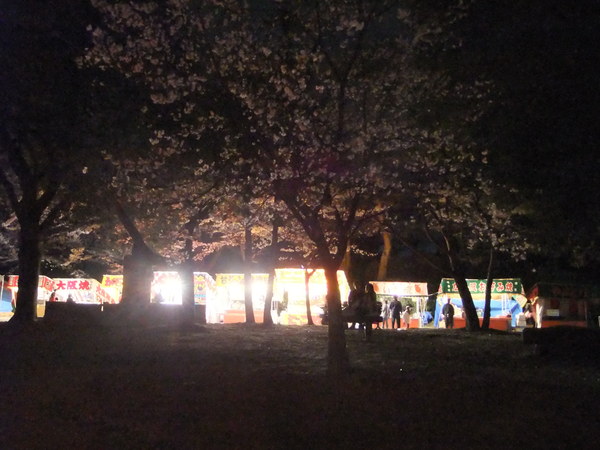 桜と走ることと_b0217782_1193550.jpg