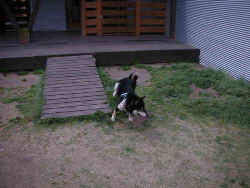 f0232785_18215086.jpg
