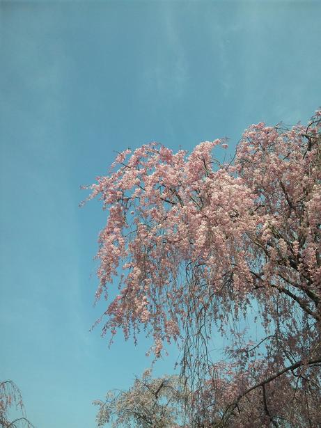 c0046587_22562892.jpg