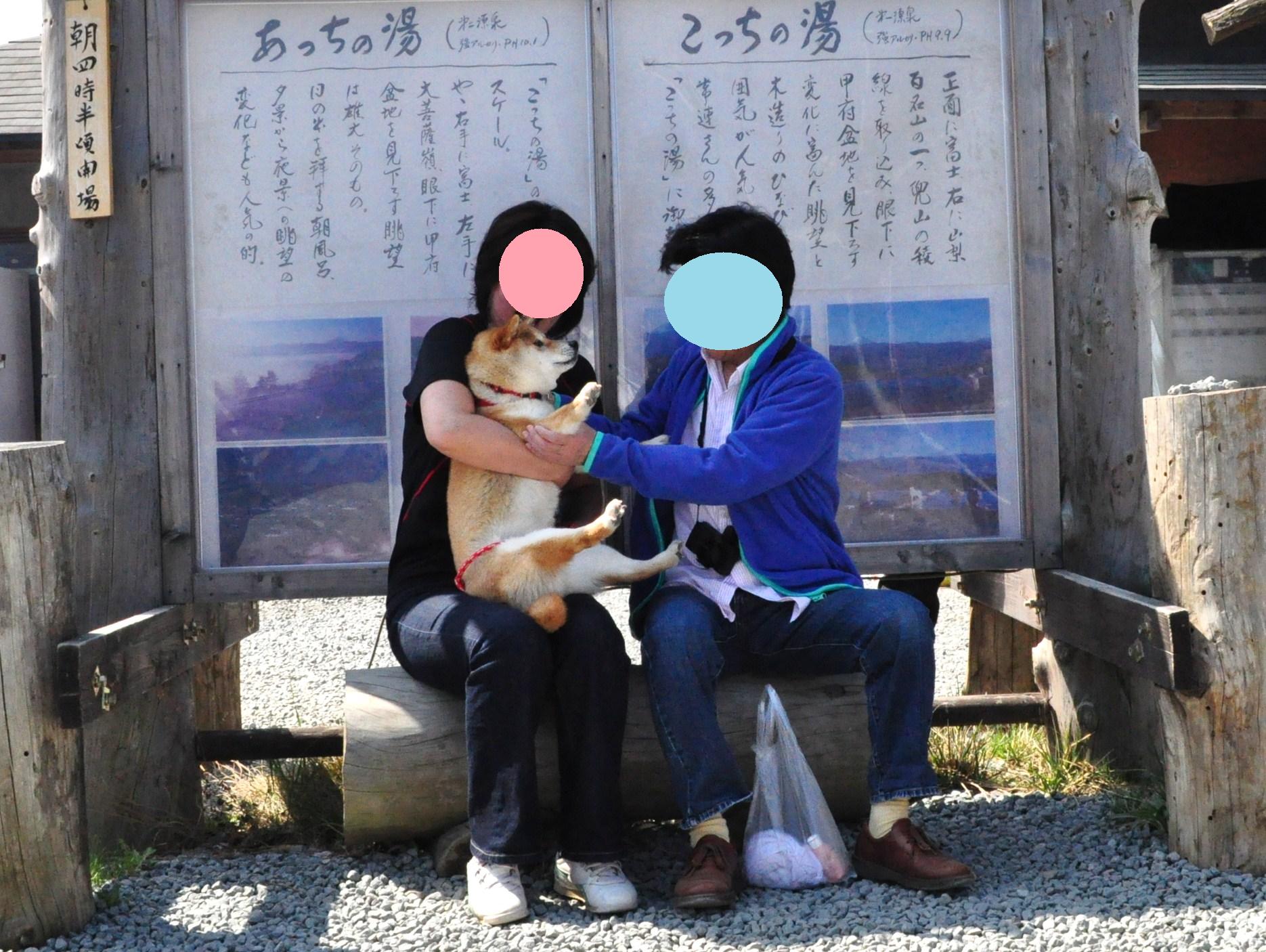 トホホな姿でご対面_a0126590_347050.jpg