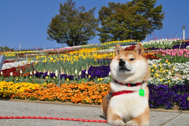 トホホな姿でご対面_a0126590_47764.jpg