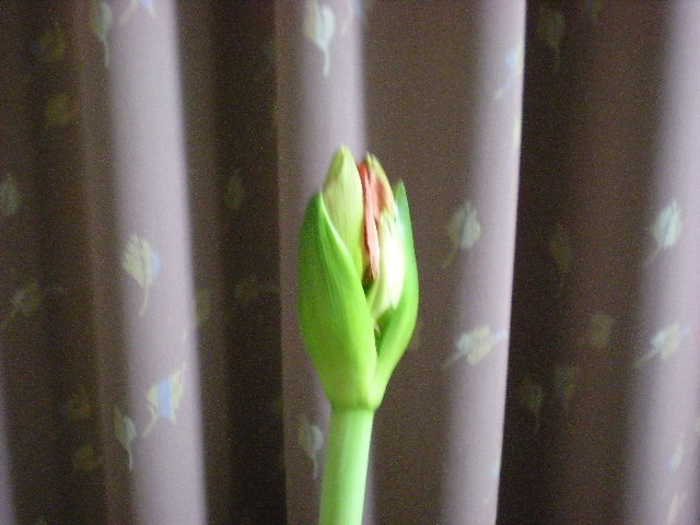 春です_e0233190_19311373.jpg