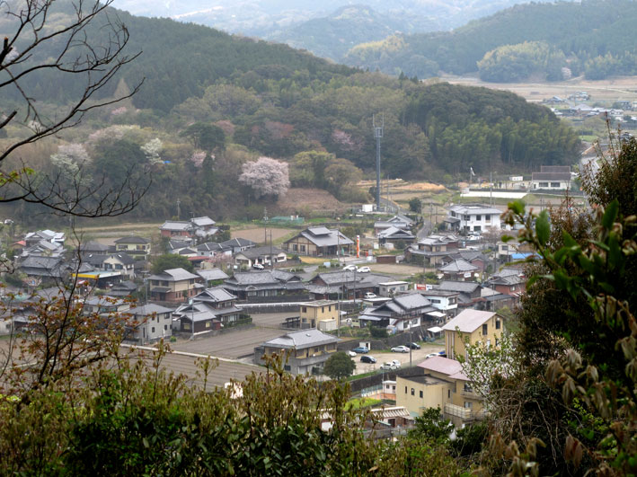 金比羅山に登ろう_b0145296_637491.jpg