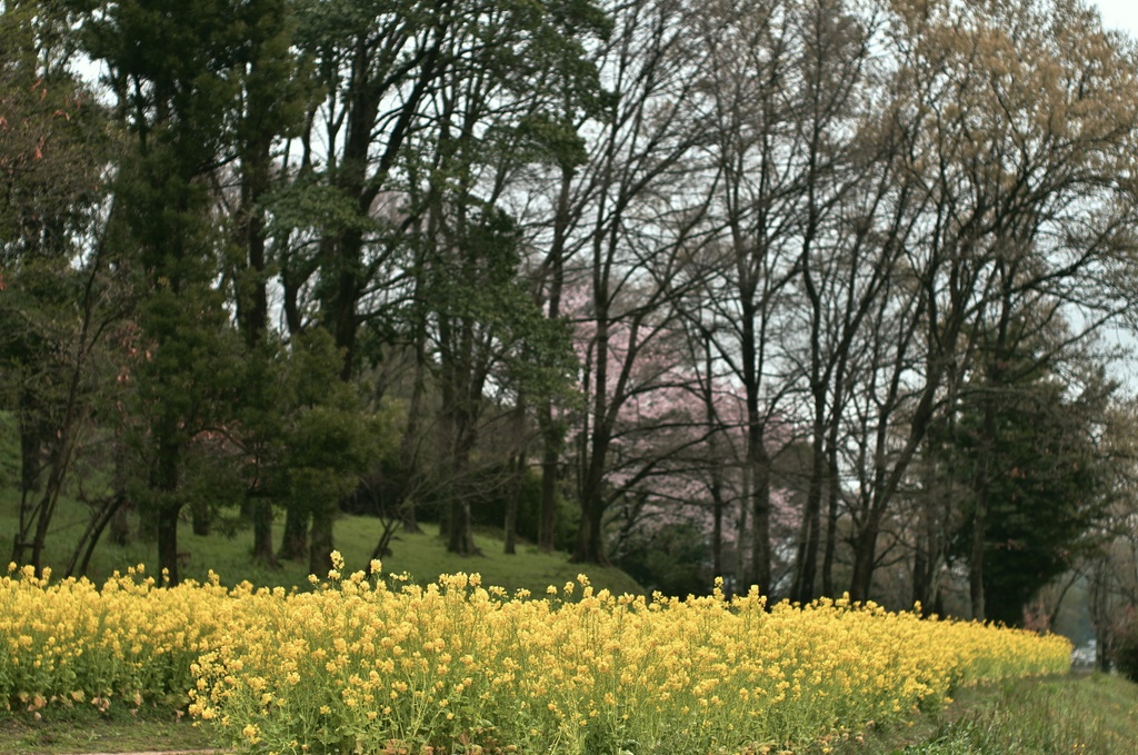 b0138101_19565513.jpg