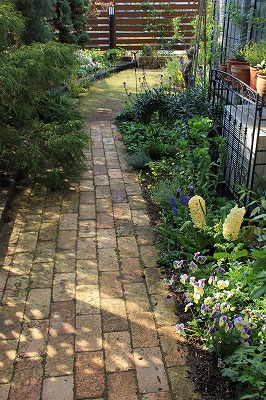 a0123003_93538.jpg