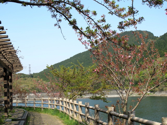c0036203_18125683.jpg