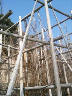 c0216405_15265022.gif