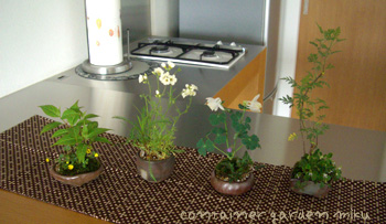 f0217905_10171133.jpg