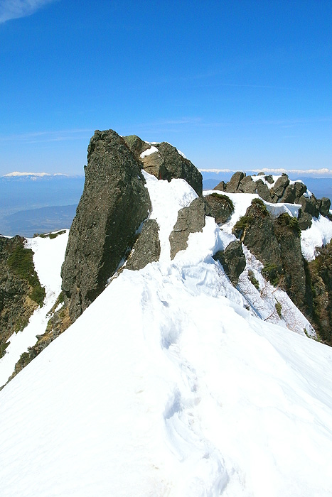 a0148606_17113896.jpg