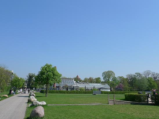 a0187808_1671685.jpg