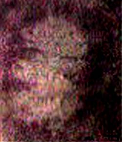 e0103408_16404441.jpg