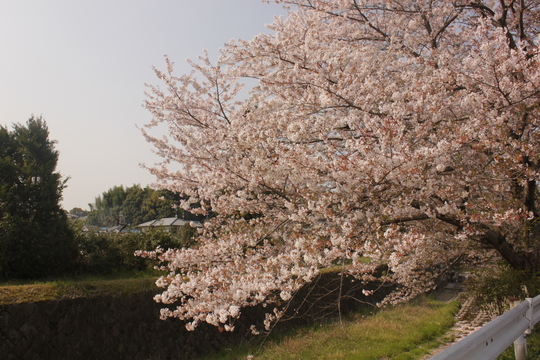 f0225108_22224835.jpg