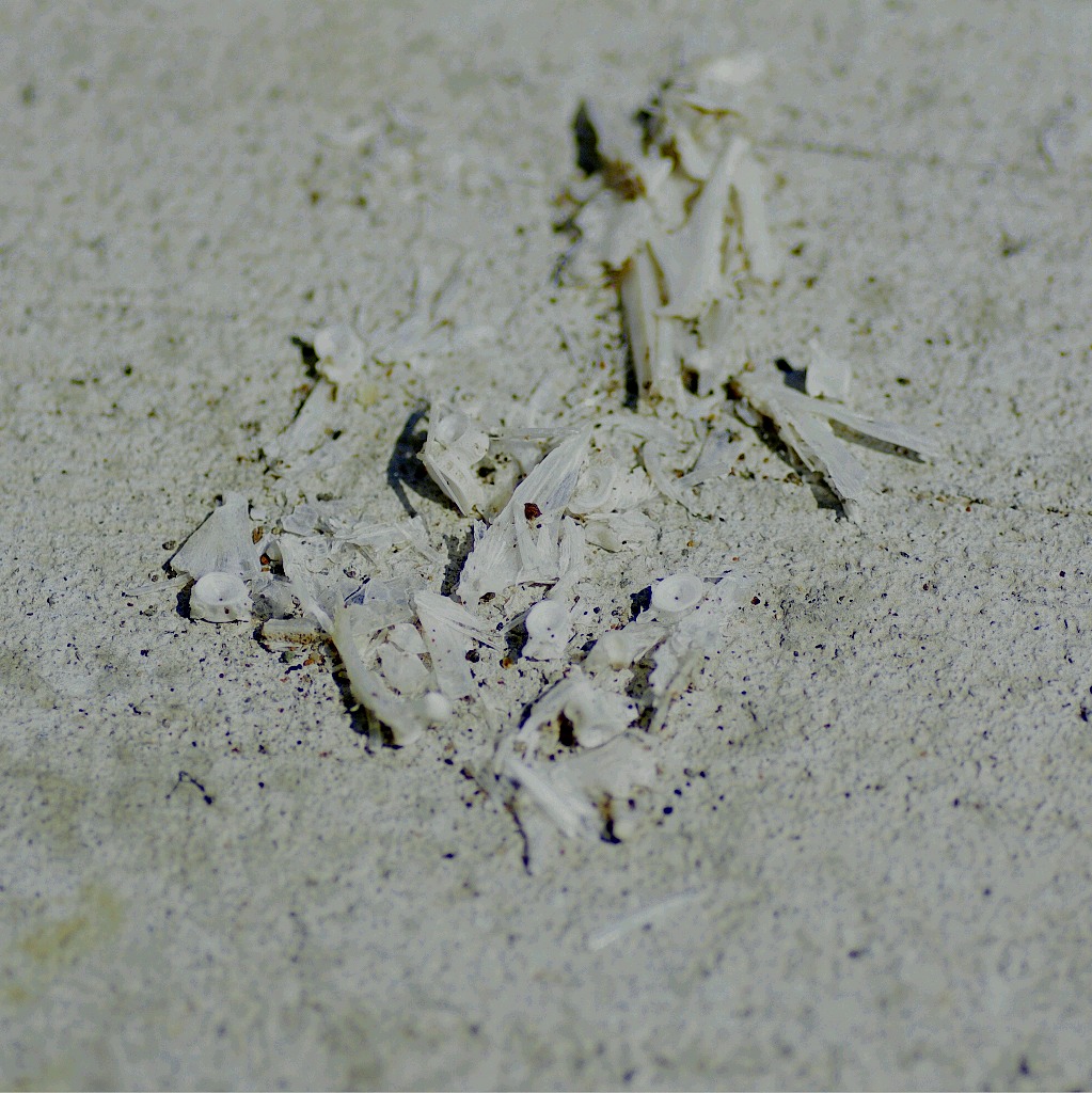 e0142611_18211226.jpg