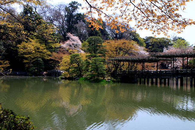 宮廷の庭 仙洞御所_e0048413_2135138.jpg