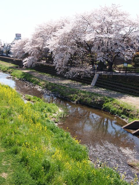 a0151615_2258195.jpg