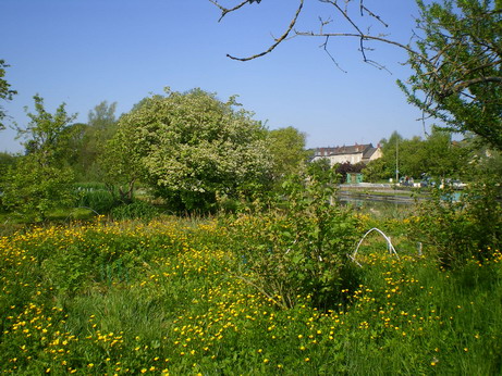c0124619_1352.jpg