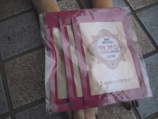 c0090220_11314117.jpg