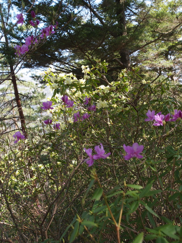 c0085622_20304436.jpg