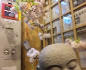 一位。。_f0048422_1722518.jpg