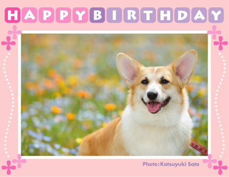 アンナベビーちゃん、お誕生日おめでとう♪_d0102523_2192555.jpg