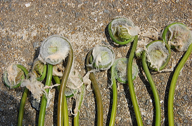 e0090926_0205024.jpg