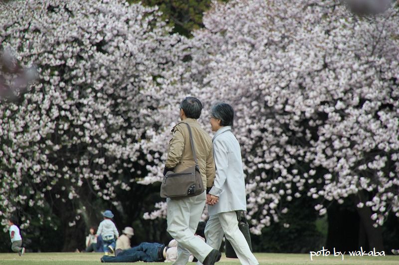 新宿御苑の八重桜の下で_e0052135_2225962.jpg