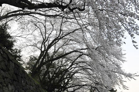 c0093046_1971874.jpg