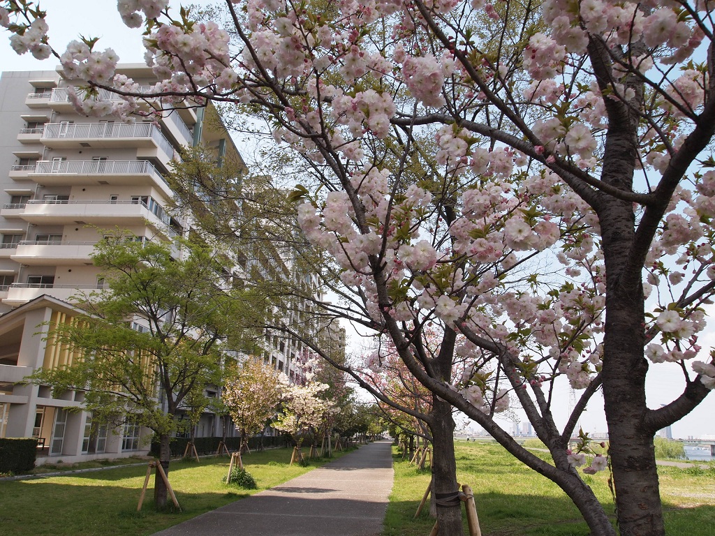 お気に入りの散歩道_f0224347_2082395.jpg