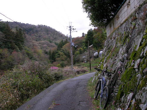 d0144550_17124687.jpg