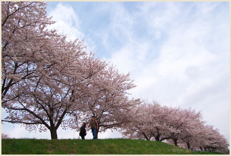 桜のひととき_e0063851_18321748.jpg