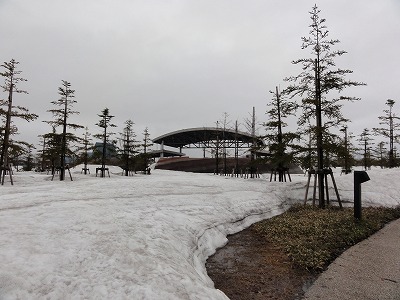 八色の森公園の雨降り_a0084753_11505399.jpg