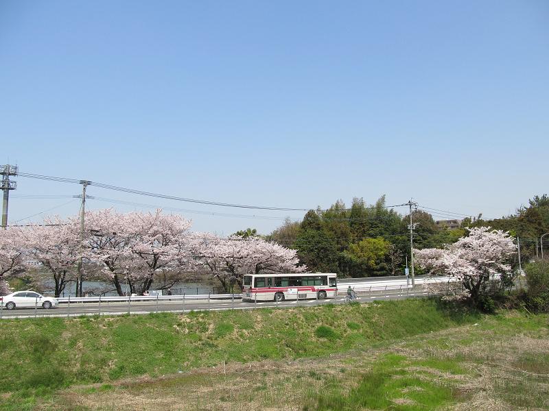 松本池 福岡市城南区 ウエスタンビュー 九州の路線バス沿線風景サイト