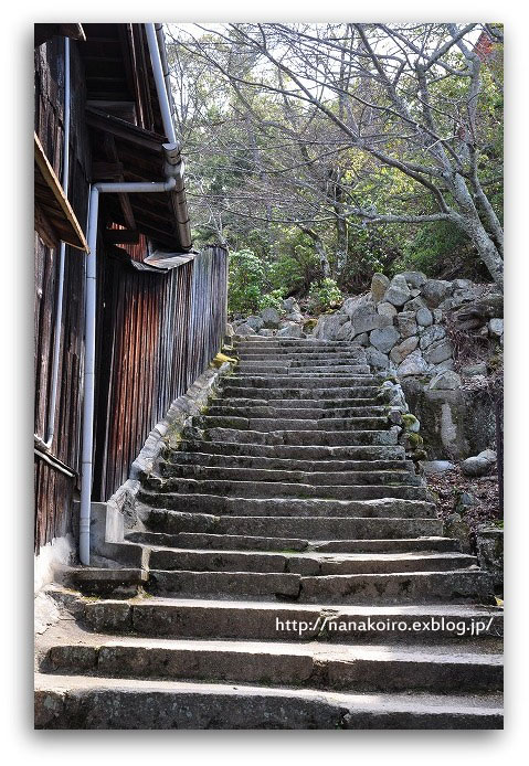 安芸の宮島・3_e0153963_1721630.jpg