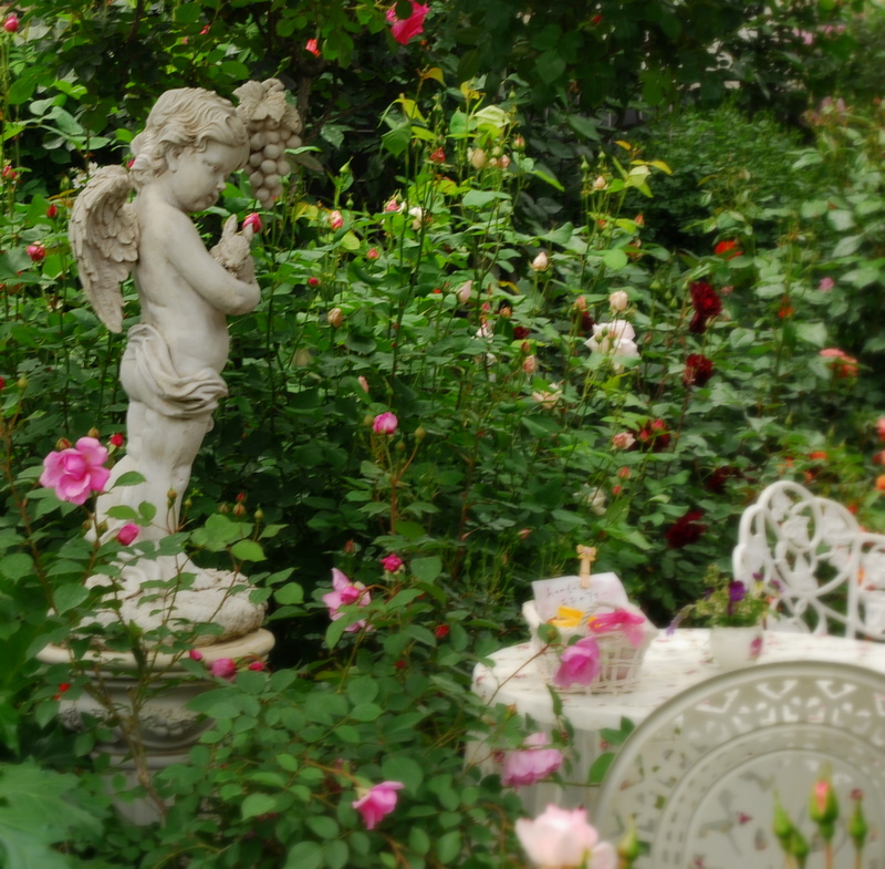 ローズガーデン_a0050964_1018552.jpg