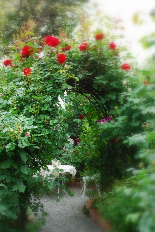 ローズガーデン_a0050964_10194954.jpg