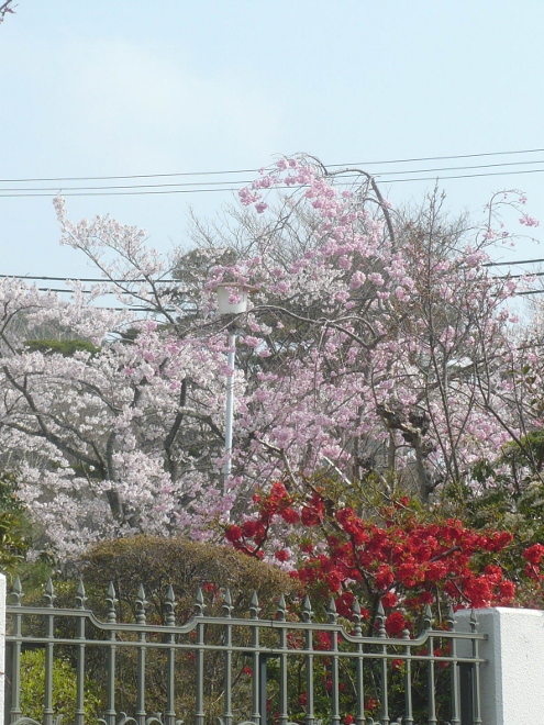 a0063364_15337.jpg