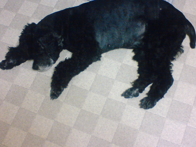 f0096569_75549.jpg