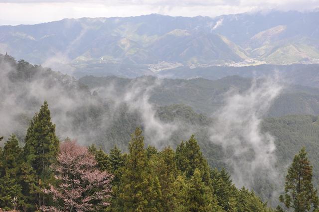 世界遺産吉野　奥千本　中千本　　　　4月20日_d0163073_20235576.jpg