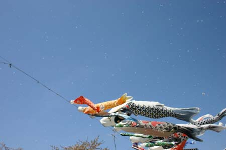 c0104476_17332069.jpg