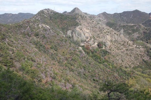 e0024081_2002664.jpg