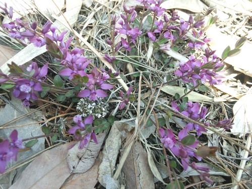 e0024081_2012580.jpg