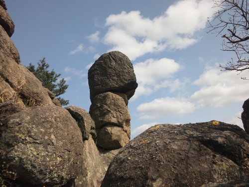 e0024081_2015925.jpg