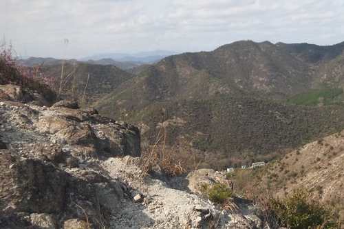 e0024081_2025971.jpg