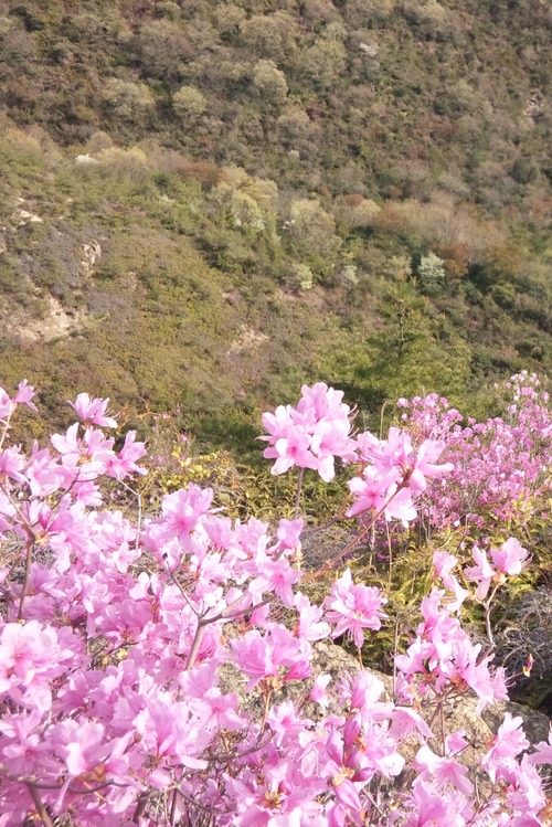 e0024081_2032944.jpg