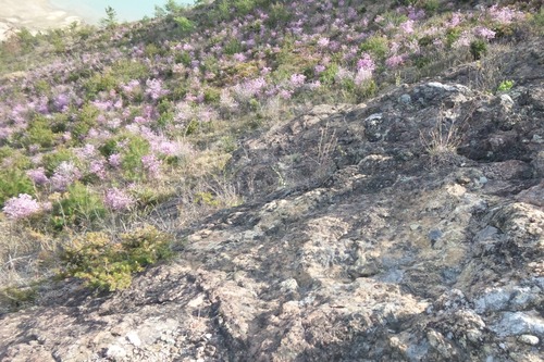 e0024081_2035411.jpg