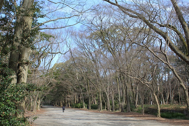 SHIMOGAMO JINJA_e0144986_22425355.jpg