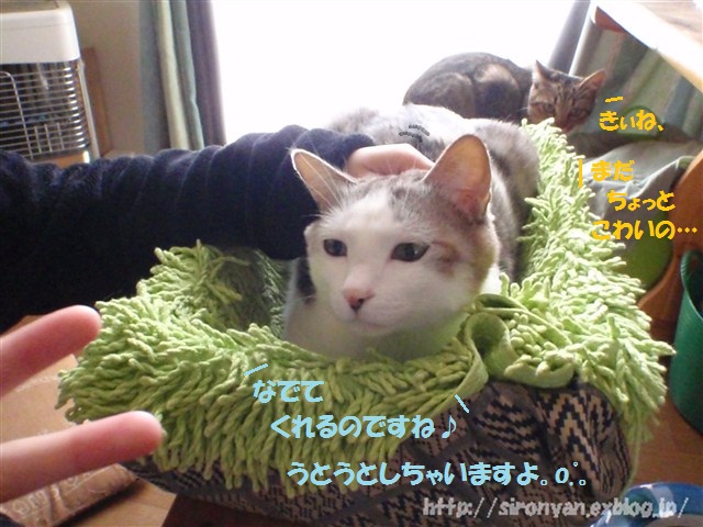 a0159490_12172397.jpg