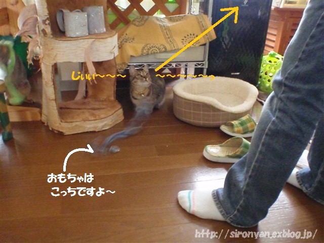 a0159490_12174630.jpg