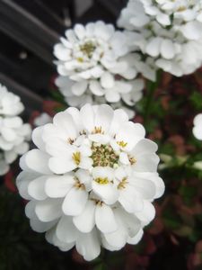 f0172093_1894471.jpg